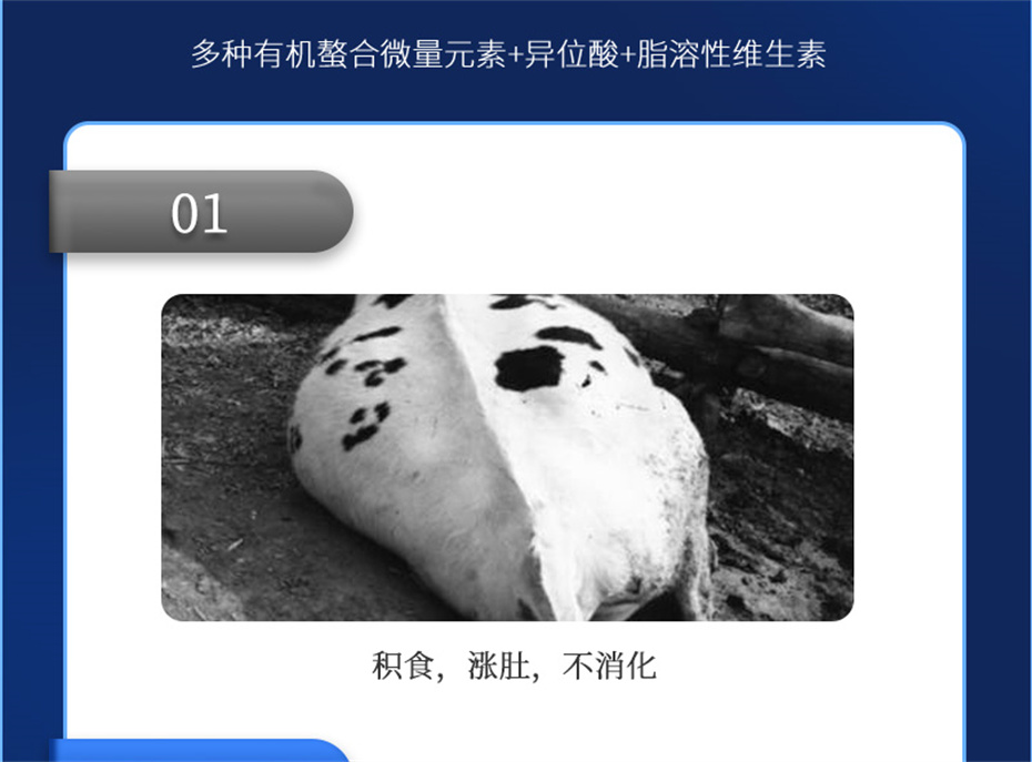 esball世博官网动保牛羊饲料添加剂牛羊壮膘宝产品介绍