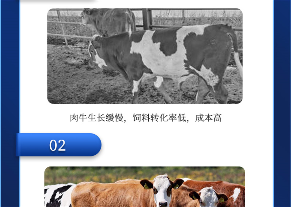 esball世博官网动保牛饲料添加剂肉牛多矿产品介绍