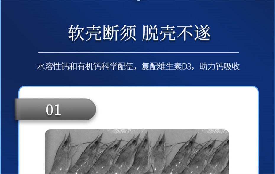 esball世博官网动保水产饲料添加剂速补微+产品介绍