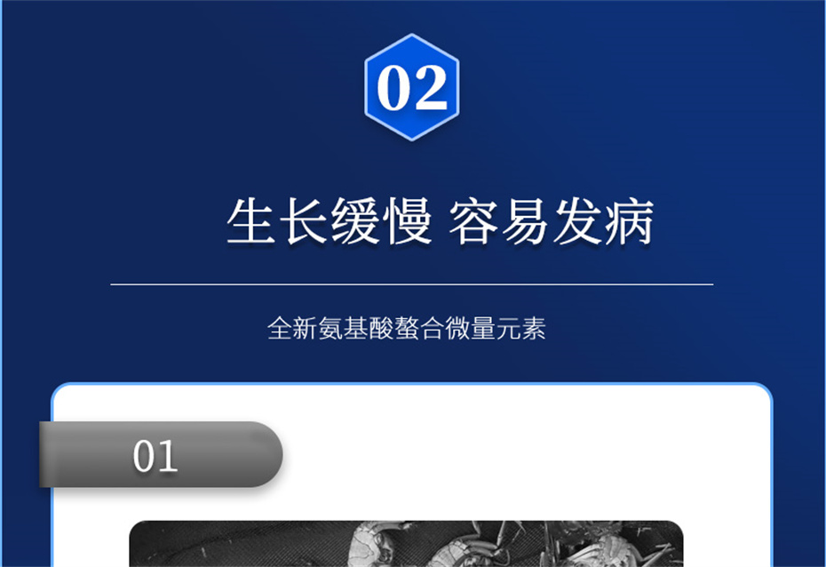 esball世博官网动保水产饲料添加剂速补微+产品介绍