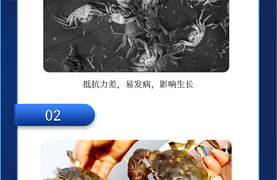 esball世博官网动保水产饲料添加剂速补微+产品介绍