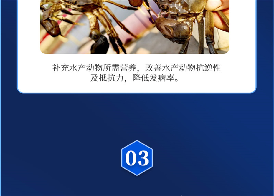 esball世博官网动保水产饲料添加剂速补微+产品介绍