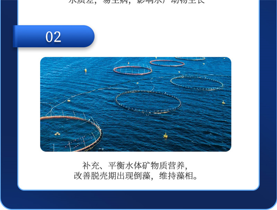 esball世博官网动保水产饲料添加剂速补微+产品介绍
