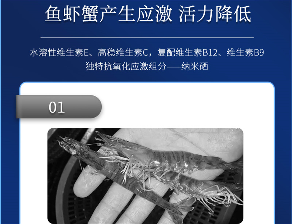 esball世博官网动保水产饲料添加剂抗激1号产品介绍