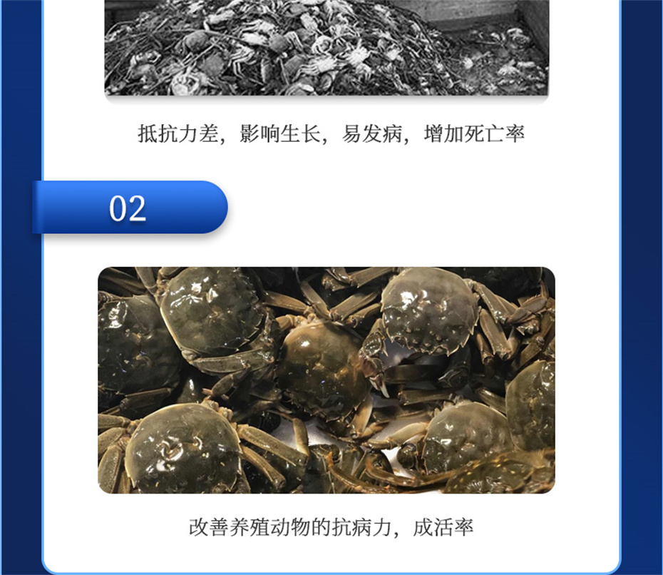 esball世博官网动保水产饲料添加剂抗激1号产品介绍