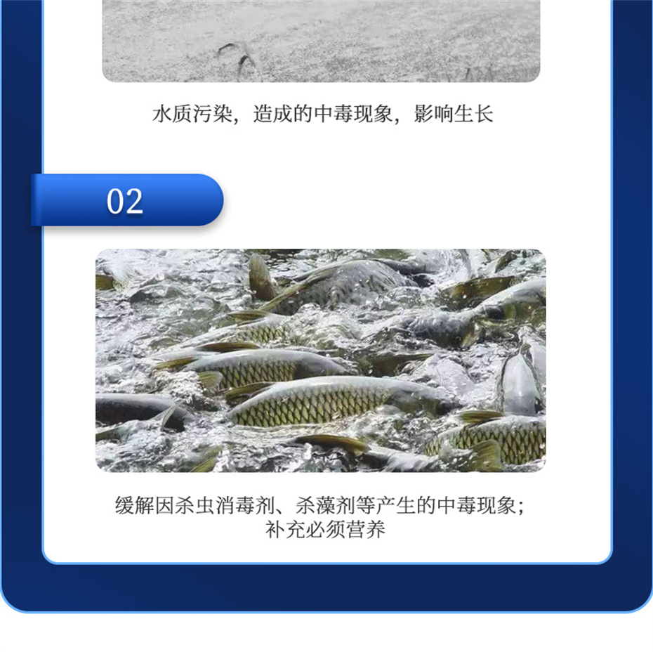 esball世博官网动保水产饲料添加剂抗激1号产品介绍