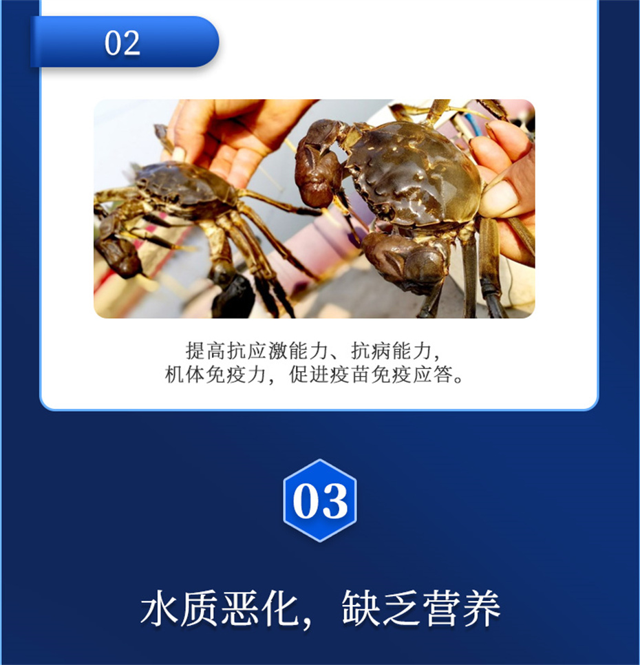 esball世博官网动保水产饲料添加剂维他1号产品介绍