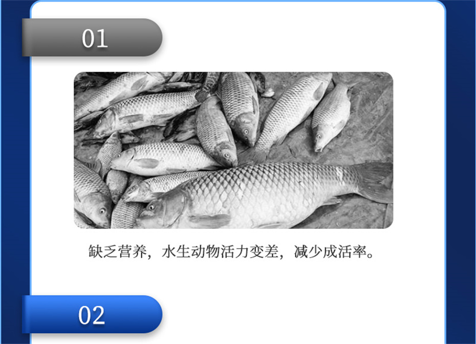 esball世博官网动保水产饲料添加剂维他1号产品介绍