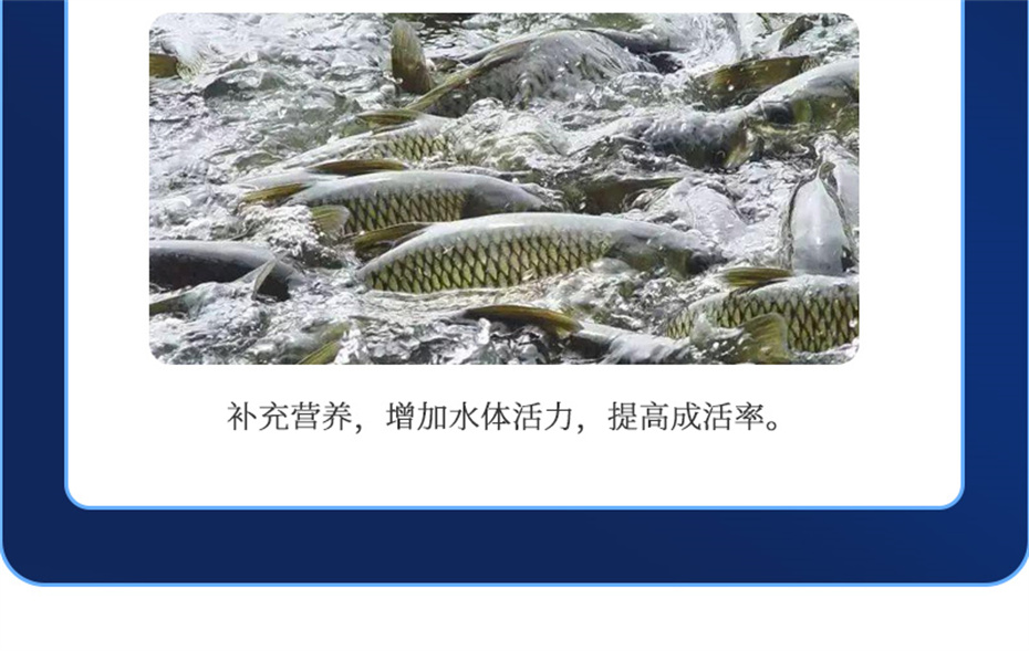 esball世博官网动保水产饲料添加剂维他1号产品介绍