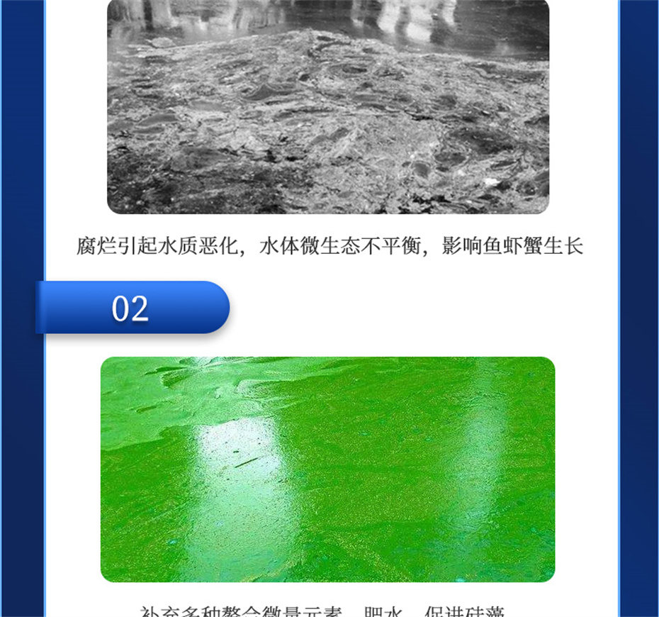 esball世博官网动保水产饲料添加剂水藻1号产品介绍