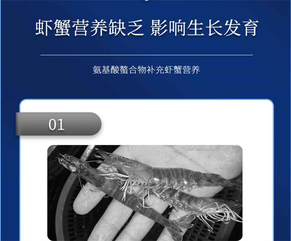 esball世博官网动保水产饲料添加剂虾康宝产品介绍