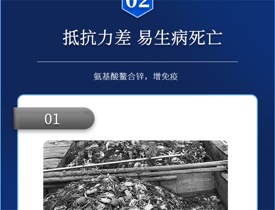 esball世博官网动保水产饲料添加剂虾康宝产品介绍