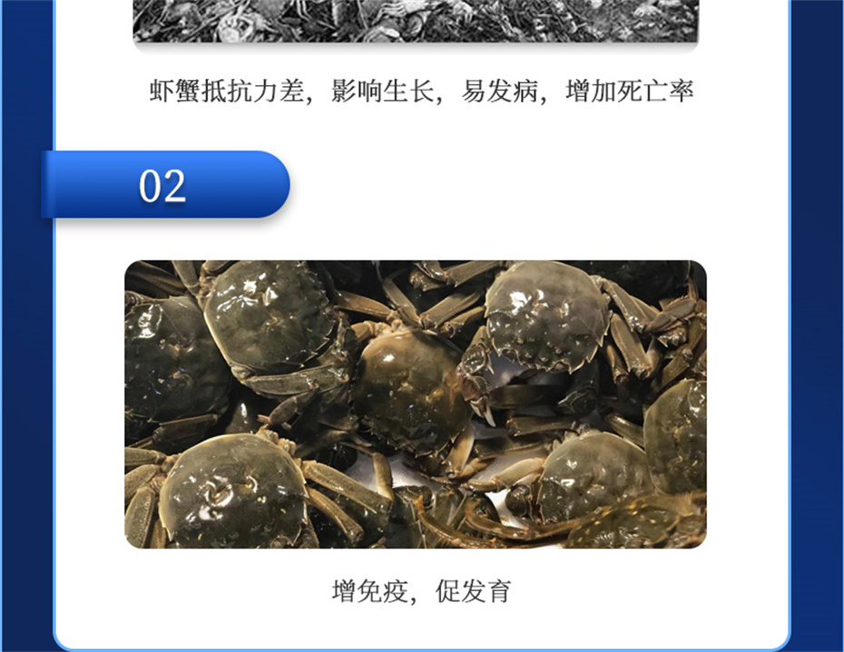 esball世博官网动保水产饲料添加剂虾康宝产品介绍