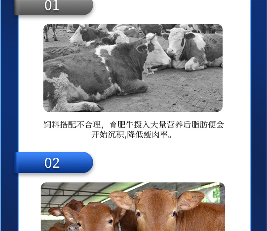 esball世博官网动保牛羊饲料添加剂牛羊去油王产品介绍