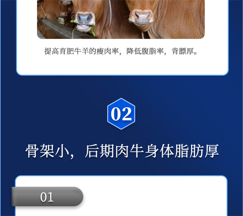 esball世博官网动保牛羊饲料添加剂牛羊去油王产品介绍