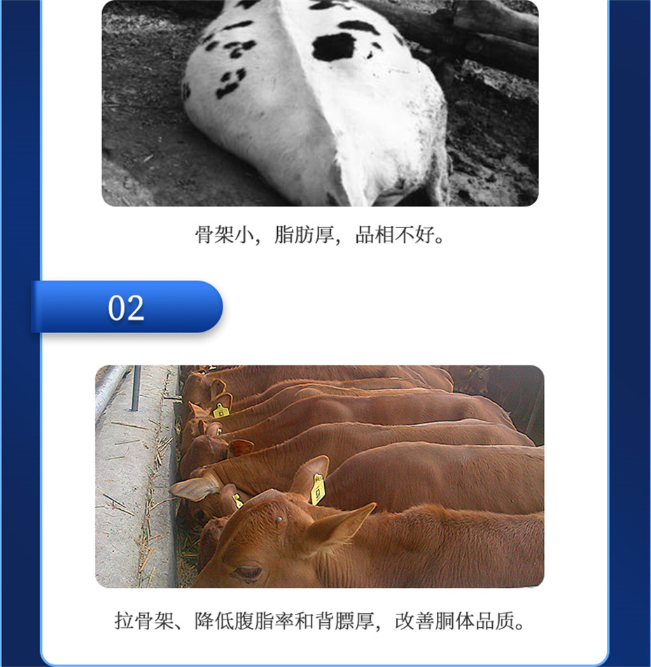 esball世博官网动保牛羊饲料添加剂牛羊去油王产品介绍