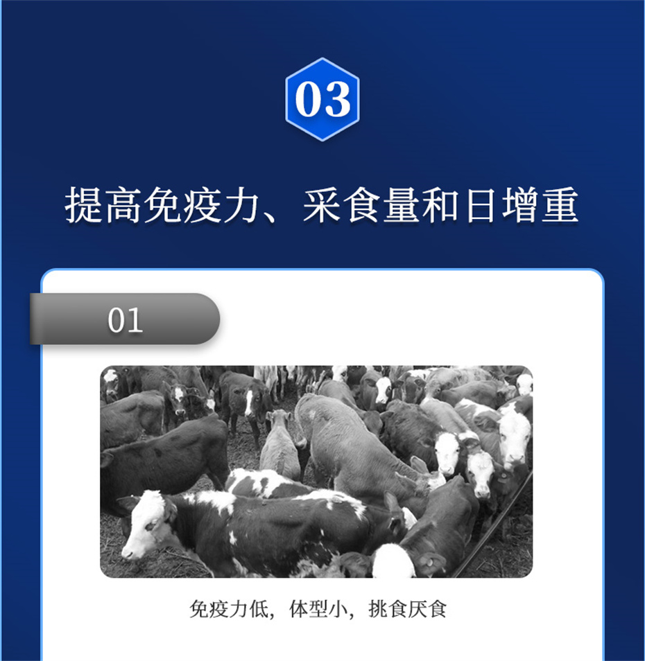 esball世博官网动保牛羊饲料添加剂牛羊去油王产品介绍