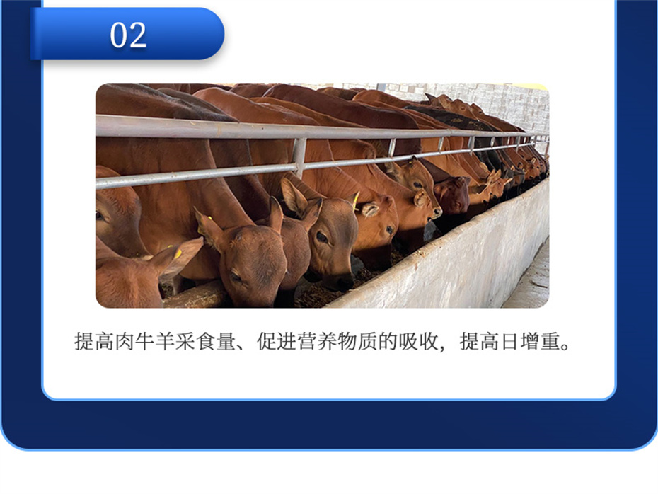 esball世博官网动保牛羊饲料添加剂牛羊去油王产品介绍