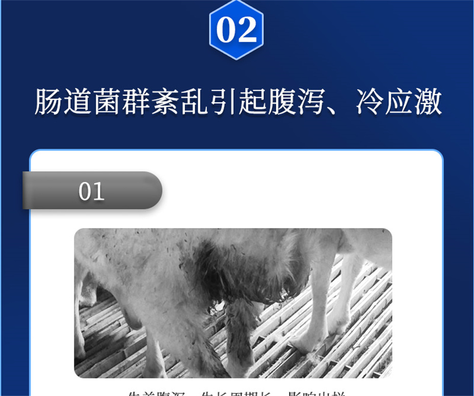 esball世博官网动保牛羊饲料添加剂瘤胃宝产品介绍