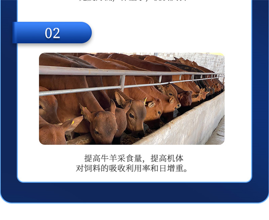 esball世博官网动保牛羊饲料添加剂瘤胃宝产品介绍