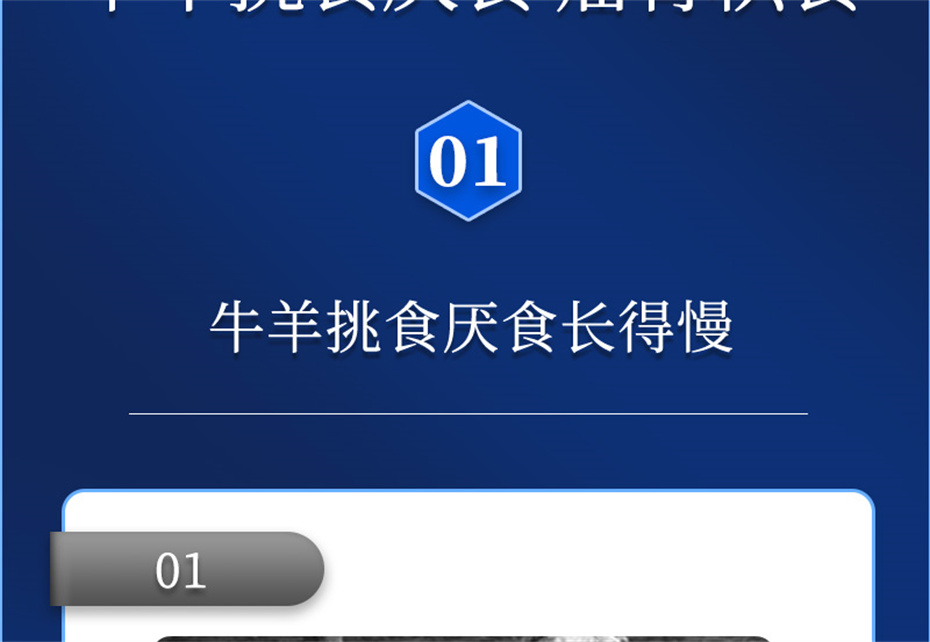 esball世博官网动保牛羊饲料添加剂牛羊壮膘宝产品介绍