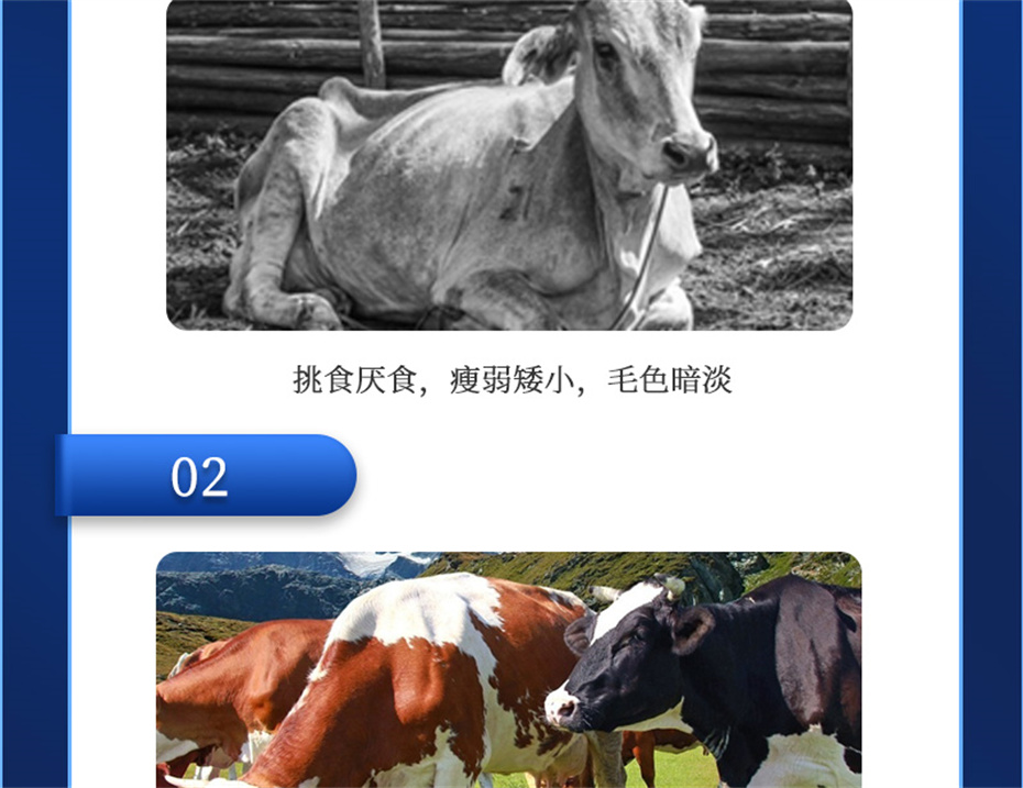 esball世博官网动保牛羊饲料添加剂牛羊壮膘宝产品介绍
