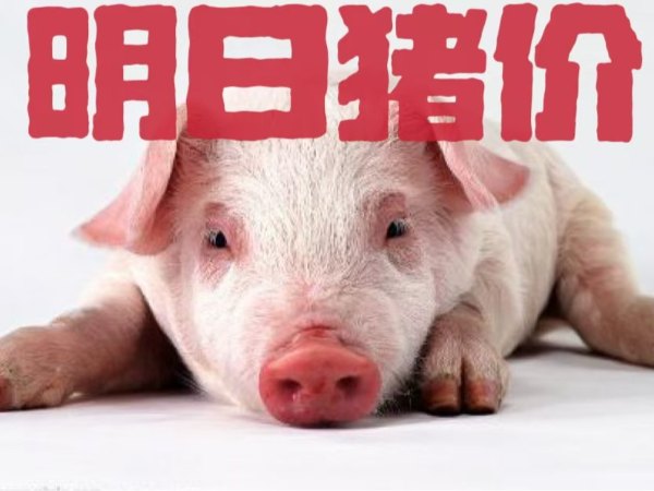 明日猪价 | 2024年12月28日全国猪价行情一览表！