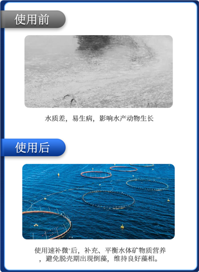 esball世博官网有机微量元素速补微+对虾补钙效果