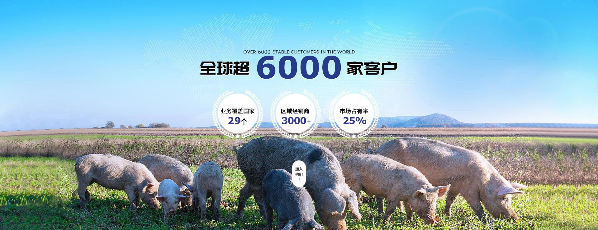 esball世博官网-饲料添加剂招商
