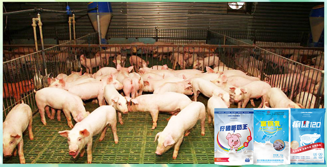 esball世博官网动保饲料添加剂