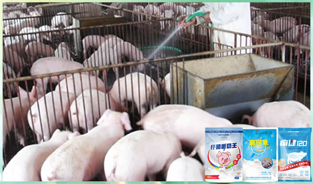 esball世博官网动保饲料添加剂