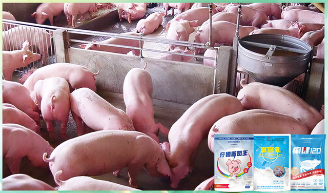 esball世博官网动保饲料添加剂