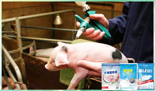 esball世博官网动保饲料添加剂