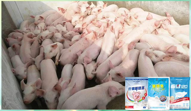 esball世博官网动保饲料添加剂