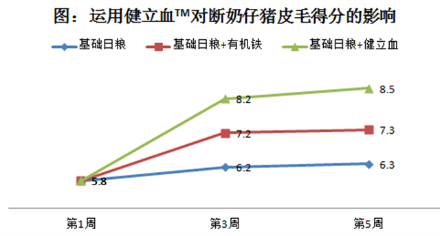 esball世博官网猪饲料添加剂健立血对断奶仔猪皮毛的影响