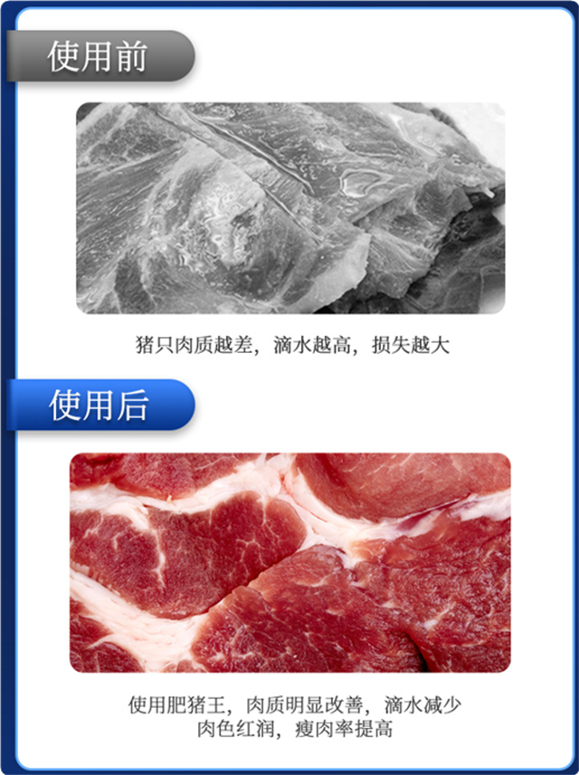 esball世博官网-肥猪王使用效果