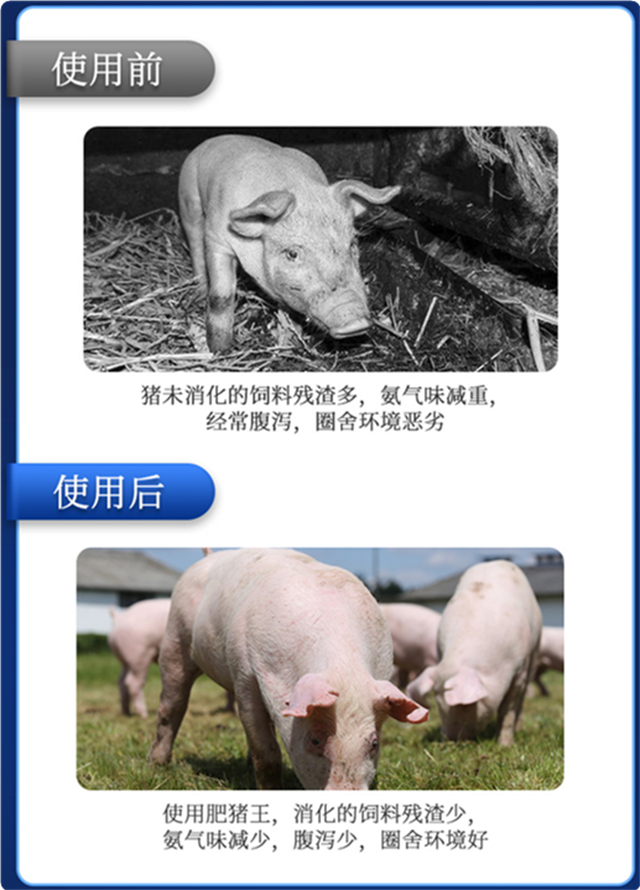 esball世博官网-肥猪王使用效果