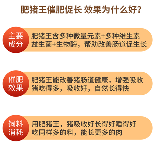 esball世博官网-肥猪王使用效果为什么好