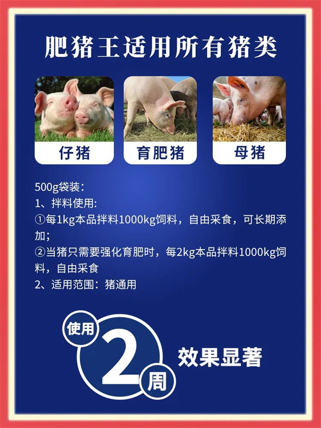 esball世博官网-肥猪王用法