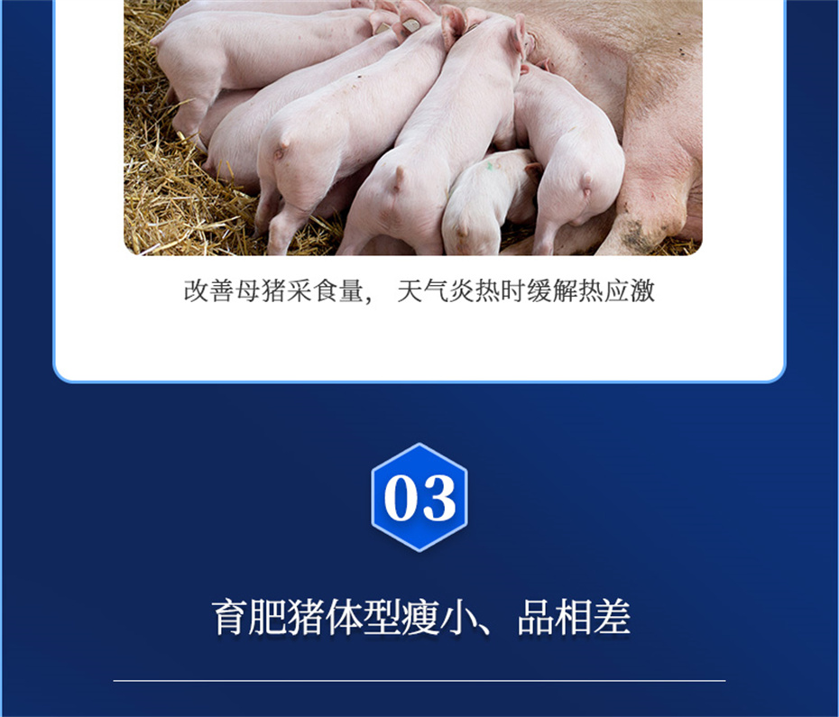 esball世博官网动保猪饲料添加剂母润通产品介绍