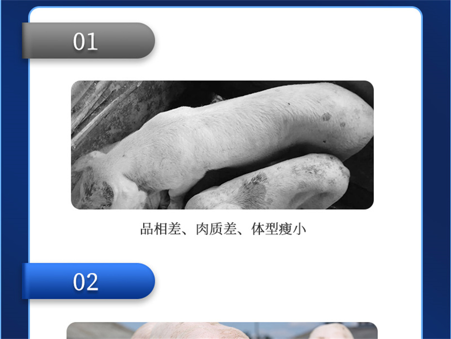 esball世博官网动保猪饲料添加剂母润通产品介绍