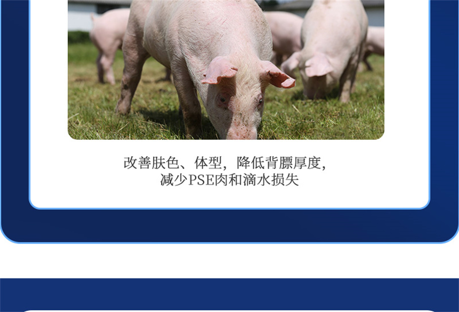 esball世博官网动保猪饲料添加剂母润通产品介绍