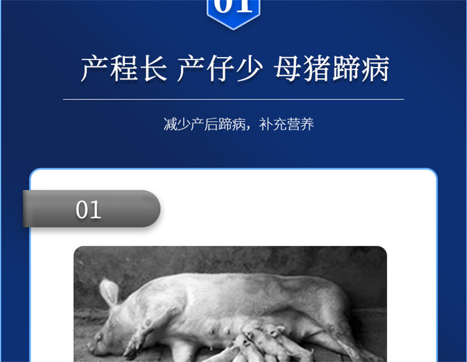 esball世博官网动保猪饲料添加剂升殖宝产品介绍