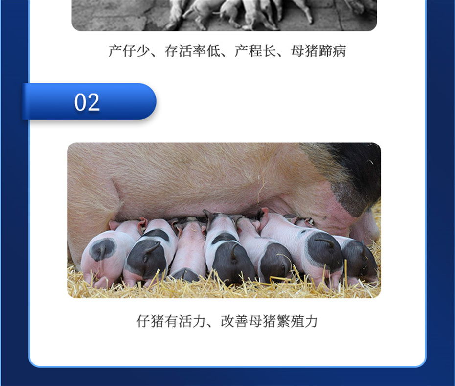 esball世博官网动保猪饲料添加剂升殖宝产品介绍