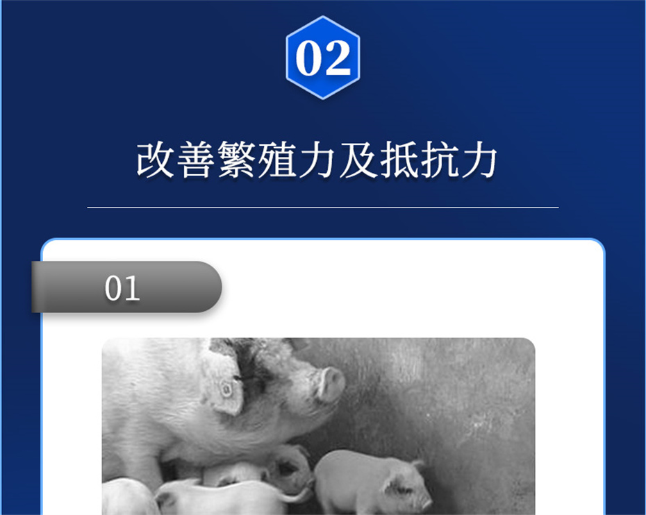 esball世博官网动保猪饲料添加剂升殖宝产品介绍