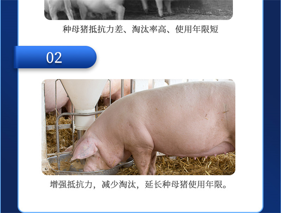 esball世博官网动保猪饲料添加剂升殖宝产品介绍