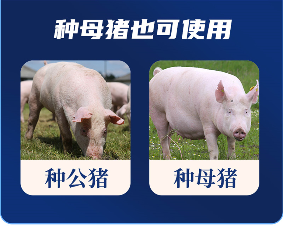 esball世博官网动保猪饲料添加剂升殖宝产品介绍
