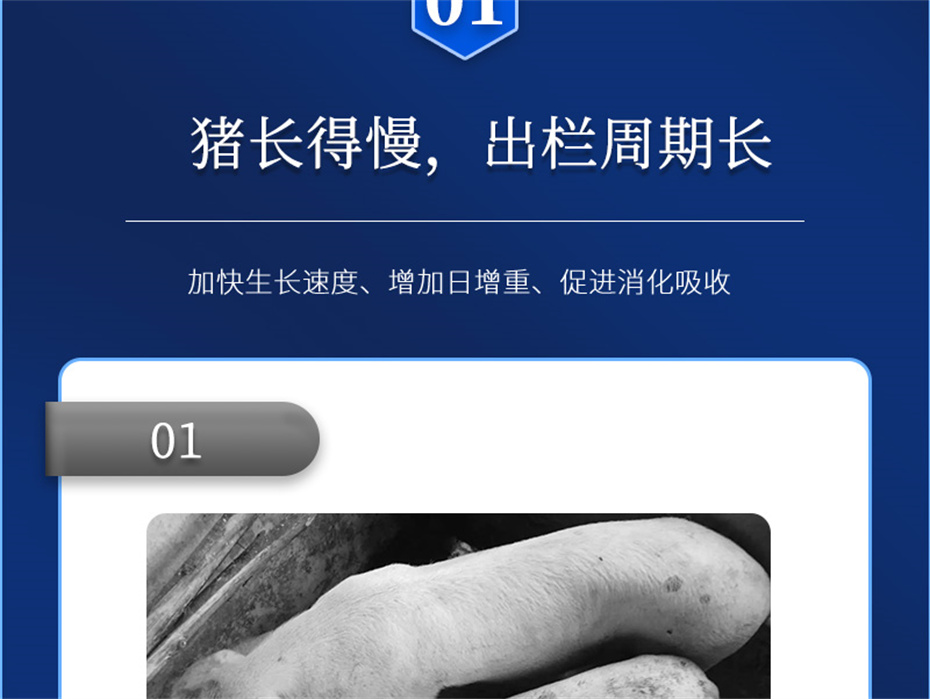 esball世博官网动保猪饲料添加剂肥猪王产品介绍