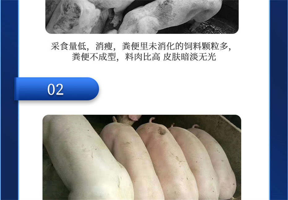 esball世博官网动保猪饲料添加剂肥猪王产品介绍