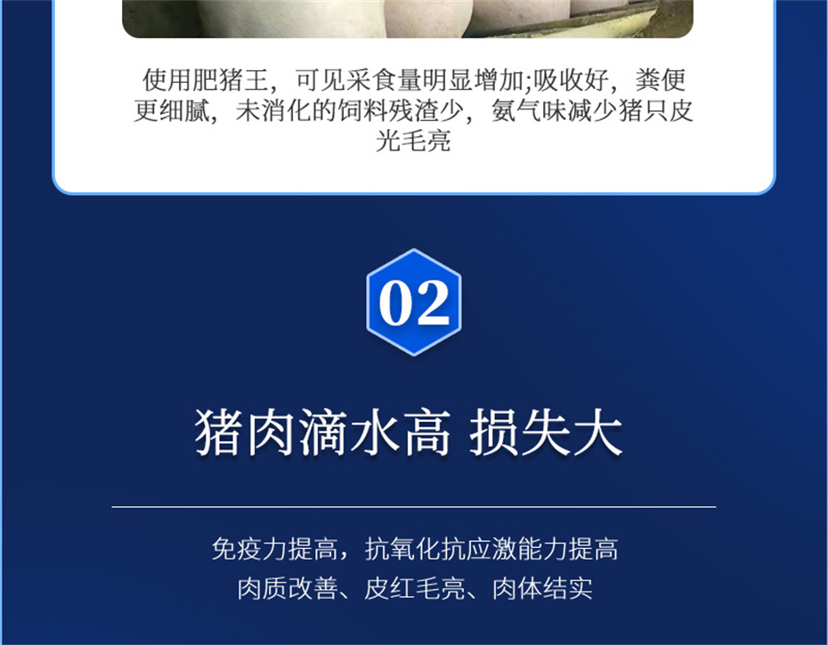 esball世博官网动保猪饲料添加剂肥猪王产品介绍